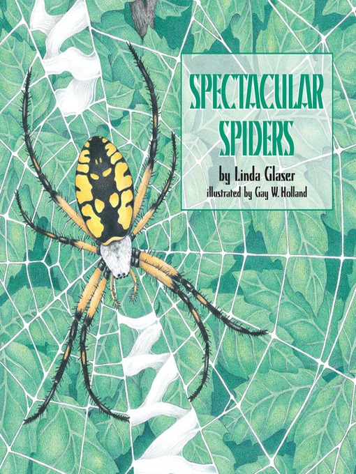 Cover image for Spectacular Spiders